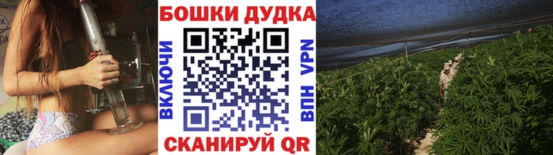 Купить где  Бердск  Каннабис марихуана 